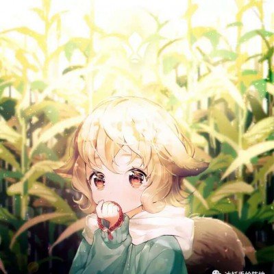 独立游戏《猫头鹰男孩》增加中文 史低促销只要46元